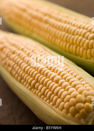 Cobs Of Corn Stock Photo