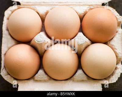 Fresh Eggs In Box Stock Photo