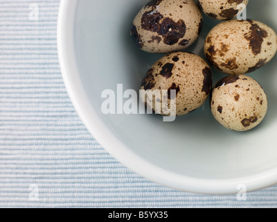 Quails Egg Stock Photo