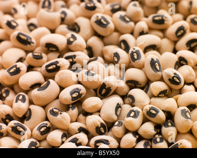 Black Eyed Beans Stock Photo