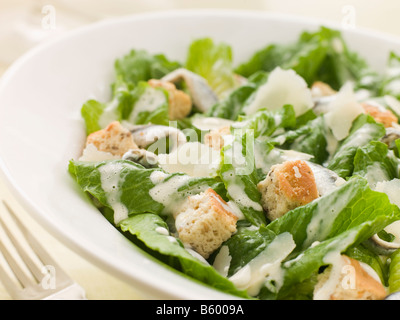 Bowl of Caesar Salad Stock Photo