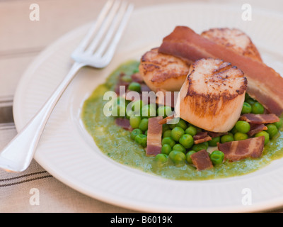 Pan Fried Scallops with Peas and Bacon Stock Photo