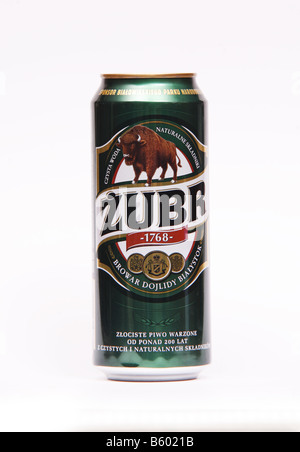 Can of Zubr Polish Lager Beer Stock Photo