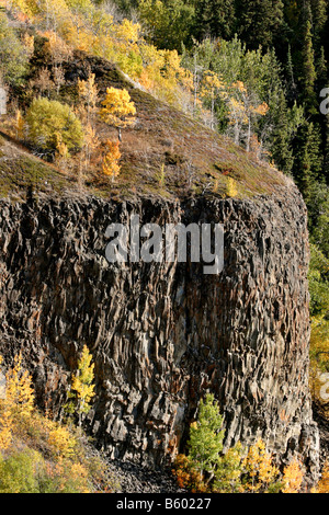 Autumn colored trees on cliff in British Columbia Stock Photo
