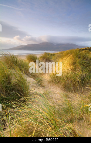 Irish Landscape image of dunes, beach and coast at Murlough Beach Stock ...