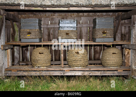 Beehives in the Luneburger heide near Luneburg Germany Stock Photo