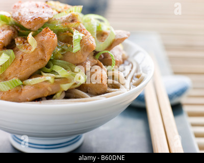 Bowl of Chicken and LeekSoba Noodles in Broth Stock Photo