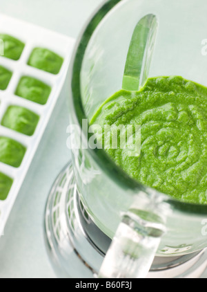 Broccoli and Spinach baby Food Puree in a Food Blender Stock Photo