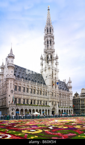 flower carpet and town hall on Grand Place Brussels, Brabant, Belgium, EUROPE Stock Photo