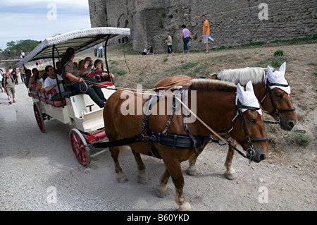 horses pulling a tourist train in the la cite carcassonne Stock Photo