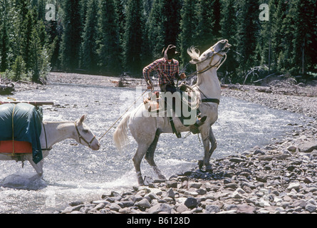 An American cowboy leads a packhorse of supplies across a river on a cattle ranch high in the western slope of the Tetons, Wyoming. Stock Photo