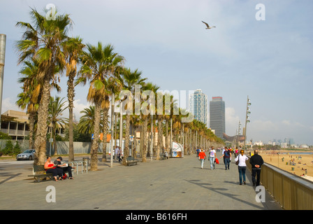 Passeig Maritim at Barceloneta beach in Barcelona Spain Europe Stock Photo