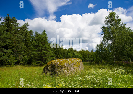 Glacial erratic boulder between Sagadi and Palmse, Lahemaa National Park, Estonia, Baltic States, Northeastern Europe Stock Photo