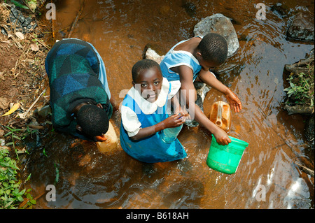 Children fetching water from a stream, Njindom, Cameroon, Africa Stock Photo