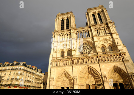 Notre Dame de Paris with main portal, west view, Paris, France, Europe Stock Photo