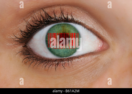 Detail picture of an eye with barcode EAN, European Article Number, on the iris, symbolic picture representing glass science Stock Photo