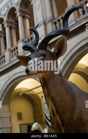 Kelvingrove Art Gallery and Museum Glasgow Scotland GB UK Stock Photo