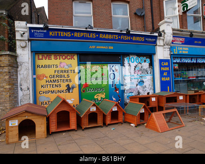 Supreme Animal Foods Pet Shop on Lewisham High street is open