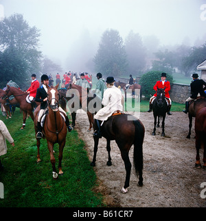 Foggy Fox Hunt in Caledon,Ontario,Canada showing People riding horses Stock Photo