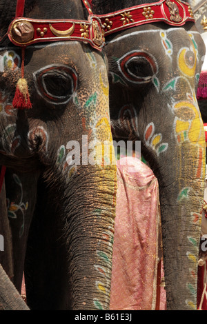 Decorated elephants waiting for the procession during dasara festival in Mysore, India in 2008. Stock Photo