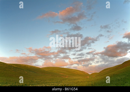 Yellow Mustard fields with mountains and moving clouds. Stock Photo