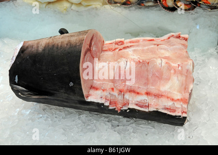 Fresh tuna, Sydney fish market, Sydney, Australia Stock Photo