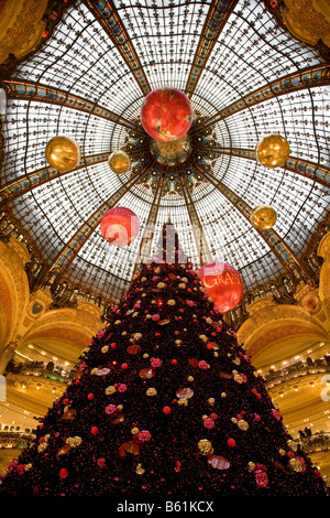xmas tree Stock Photo