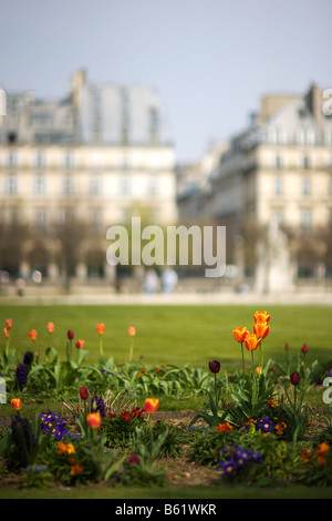 A garden inside the grounds of the Musee du Louvre in Paris Stock Photo