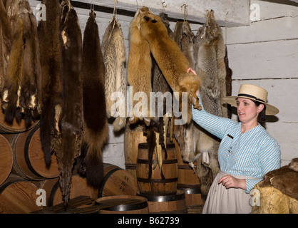 Woman tour guide in period costume with fox beaver and other animal furs in Hudson Bay trading post Fort Langley Canada Stock Photo
