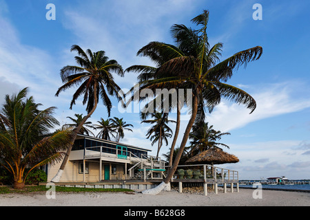 Bungalow, Turneffe Flats, Turneffe Atoll, Belize, Central America, Caribbean Stock Photo