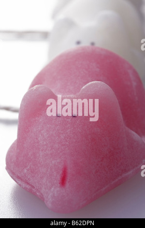 Candy sugar mice on white background Stock Photo