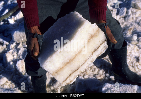 Works of extracion of  salt blocks realized by Inocencio Flores . Salar de Uyuni . Bolivia. Stock Photo