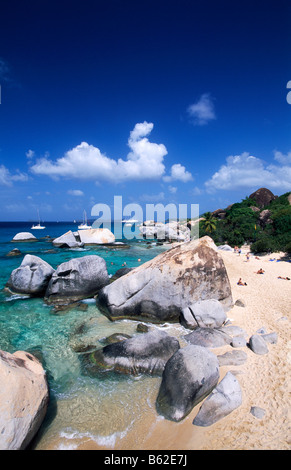 coastline with rocks, virgin beaches and sea cliffs covered with trees ...