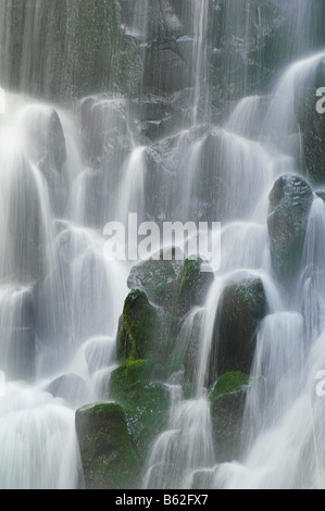 Ramona Falls Mount Hood Wilderness Oregon Stock Photo