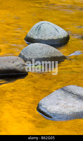 Reflections of Fall color on the Breitenbush River Willamette National Forest Oregon
