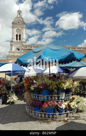 Flower market with the Catedral de la Immaculada in the background in the Cuenca, Ecuador city center Stock Photo