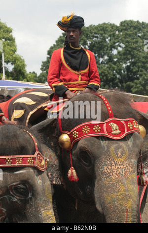 Mahout waiting to go in the procession during the Dasara festival in Mysore, India. Stock Photo