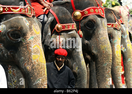 Decorated elephants waiting for the procession during dasara festival in Mysore, India in 2008. Stock Photo