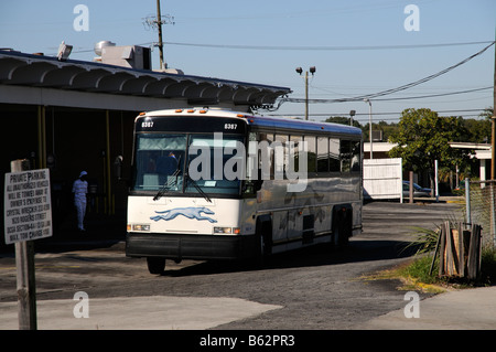 Greyhound Bus Station Savannah Georgia America USA Stock Photo