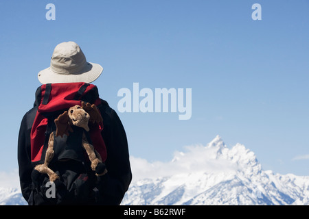 Hiker looking at snow covered mountains, Grand Teton National Park, Wyoming, USA Stock Photo