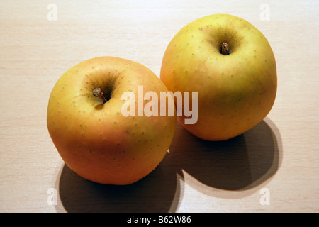 Tentation Apples Stock Photo
