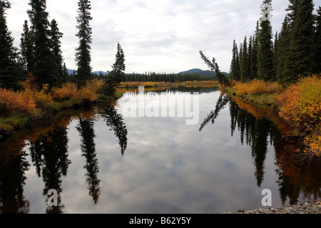 Water reflections in Northern British Columbia Stock Photo
