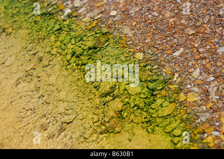 High angle view of pebbles on the coast Stock Photo