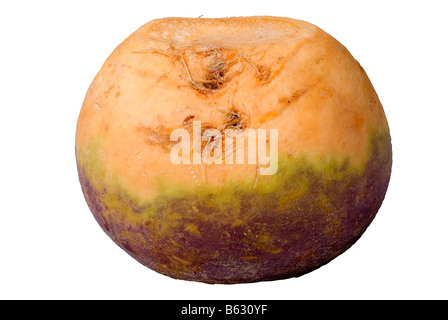 Fresh raw turnip or swede isolated on white with clipping path Stock Photo