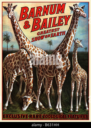 Barnum and Bailey Giraffes 1917 Poster for the Greatest Show On Earth with Exclusive Rare Zoological Features Stock Photo