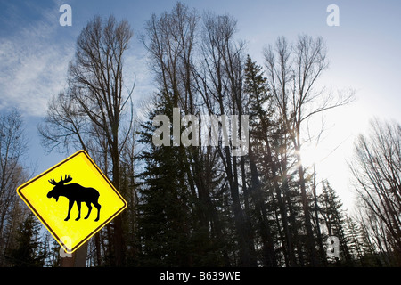Low angle view of an Animal Crossing Sign in a forest, Grand Teton National Park, Wyoming, USA Stock Photo