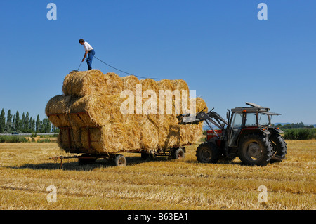 A farmer roping its load of straw,  France. Stock Photo