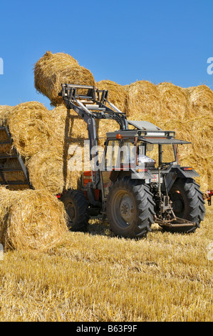 Loading a trailer straw Stock Photo