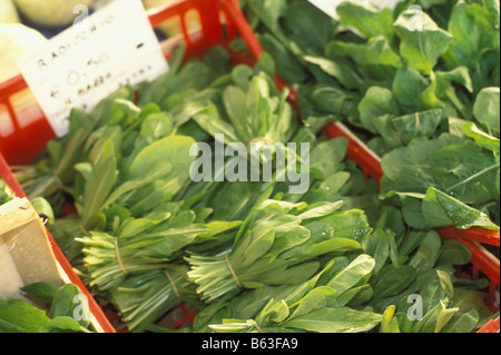 bunches of fresh spinach