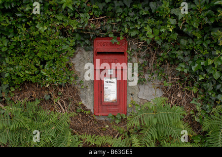 Post Box - John Gollop Stock Photo